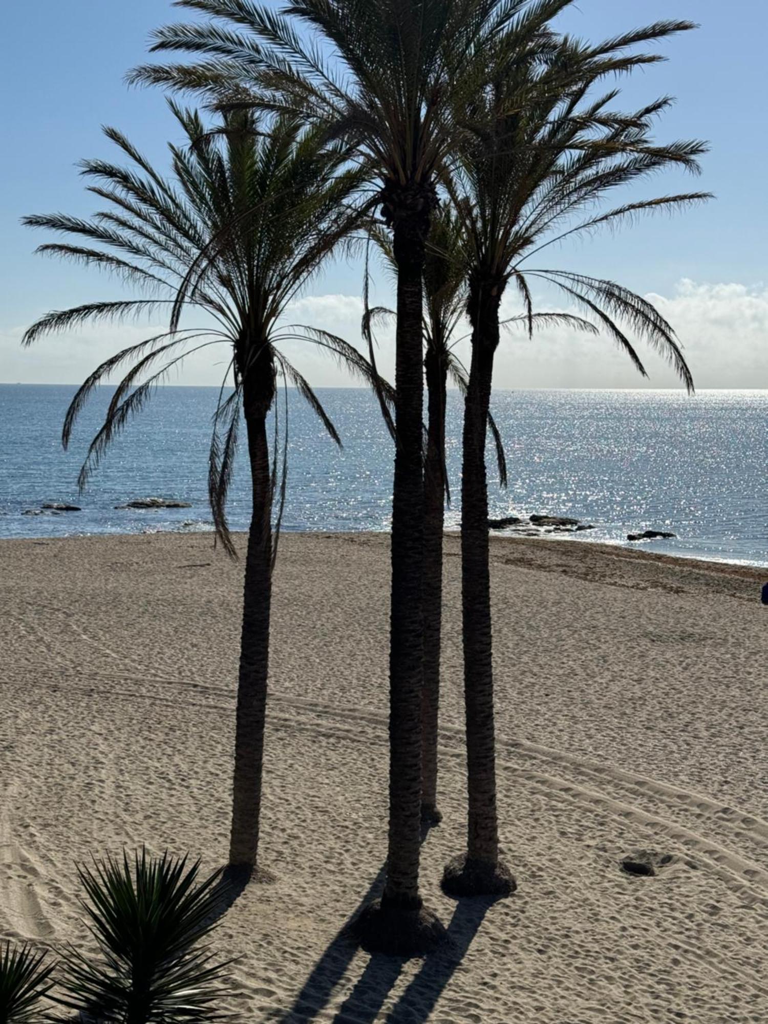 Brand New Apartment Benalmádena